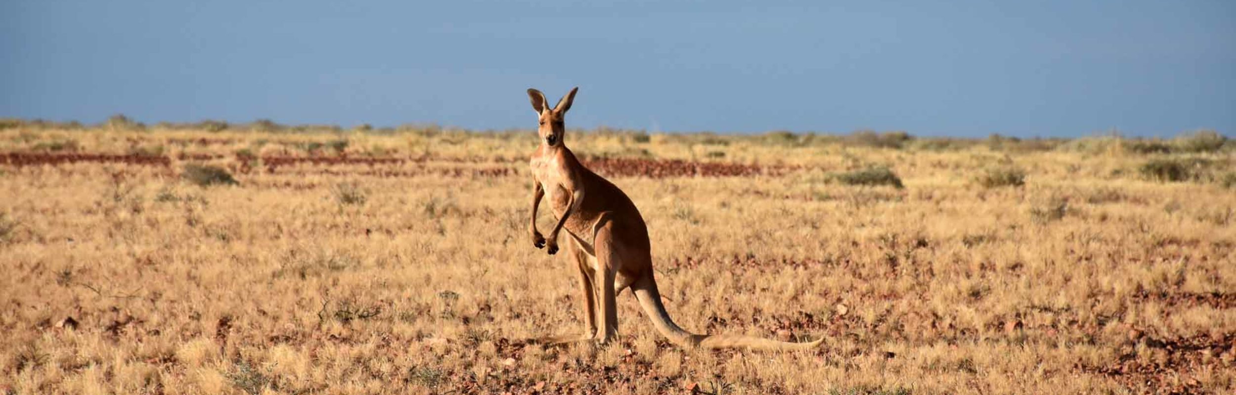 Australie – Red Center